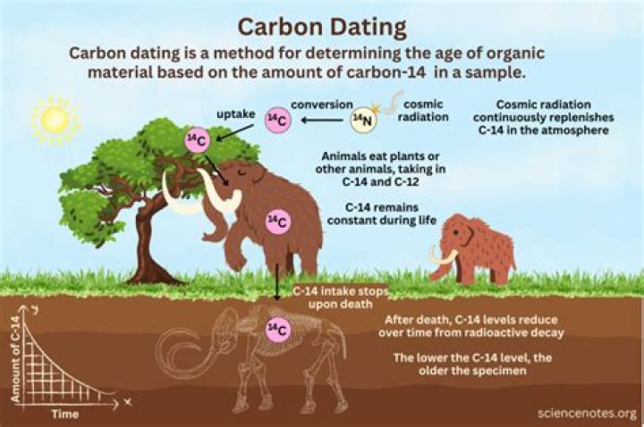 Carbon’s Girlfriend: Who is Carbon Dating?