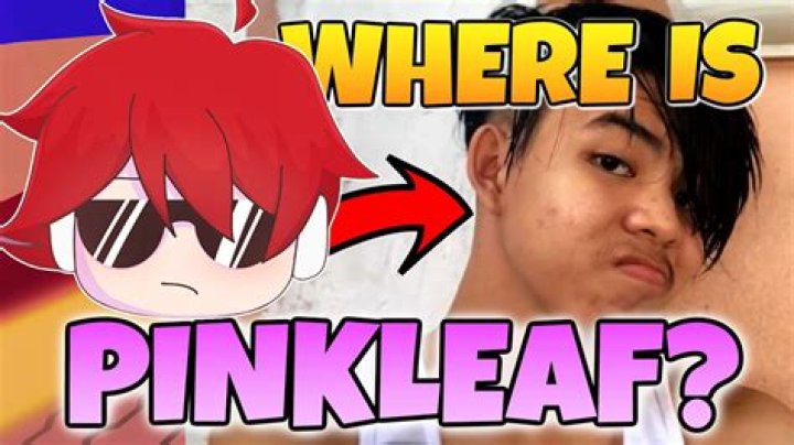 PinkLeaf’s Girlfriend: Who is PinkLeaf Dating?