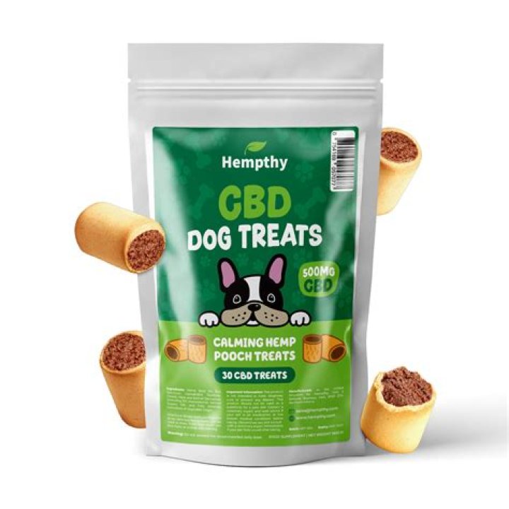 Six Incredible Benefits of CBD Dog Treats