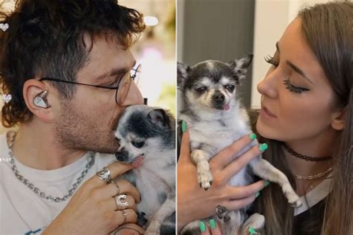 Who is Jenna Marbles Dating – Jenna Marbles's Boyfriend & Exes